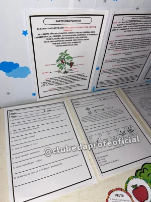 Luva Partes de uma Planta - foto 6 de 8
