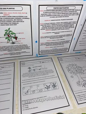 Luva Partes de uma Planta - foto 2 de 8
