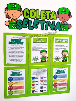 Coleta Seletiva - foto 13 de 14