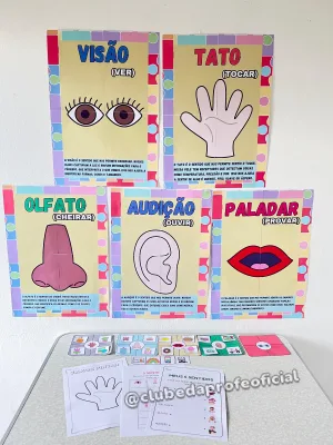 Os 5 Sentidos
