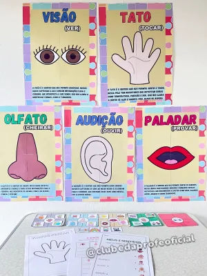 Os 5 Sentidos - foto 4 de 8