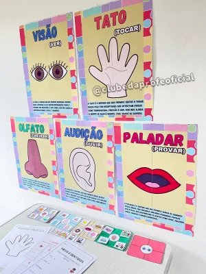 Os 5 Sentidos - foto 2 de 8