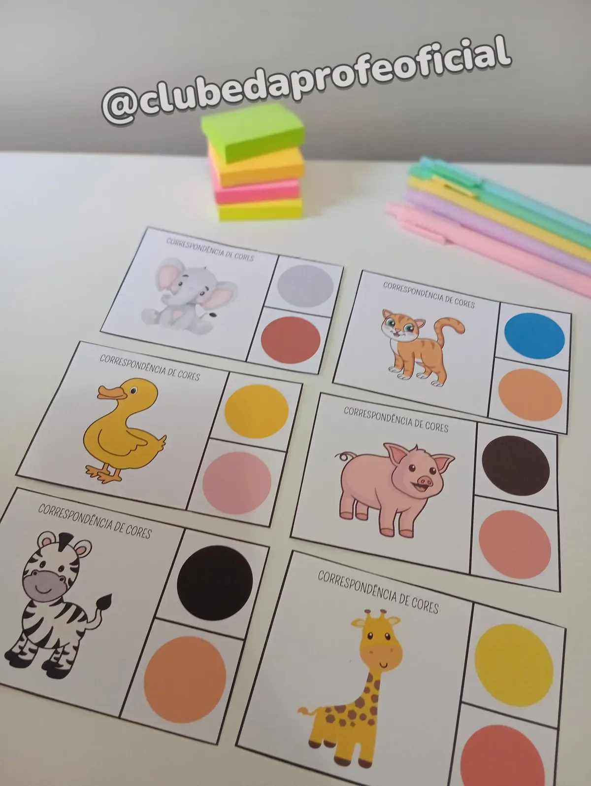 Correspondência de Cores - foto 1 de 8