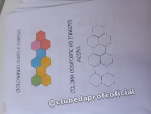 Explorando Cores e Formas - foto 5 de 9