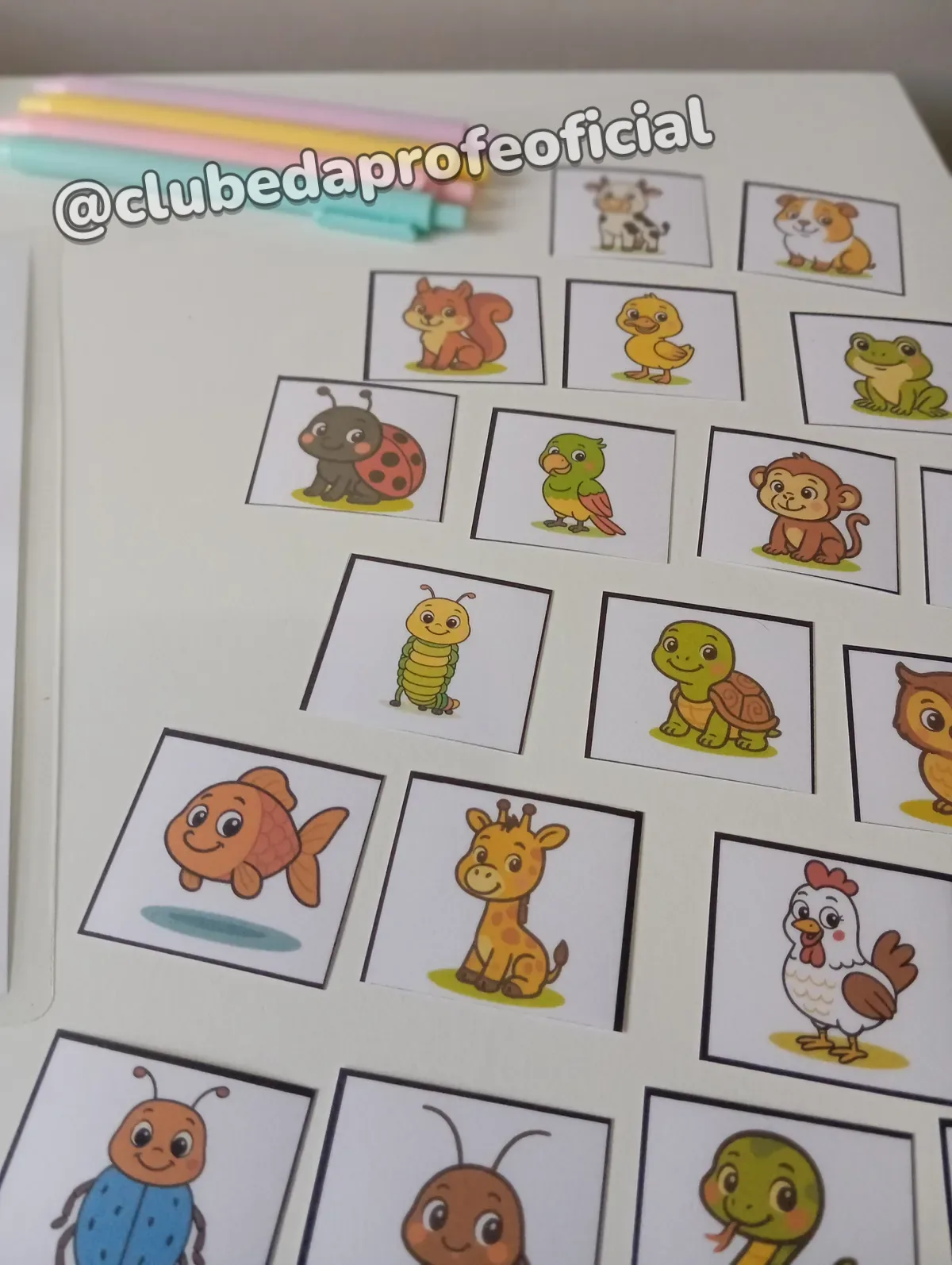 Pareamento de Animais - foto 1 de 11