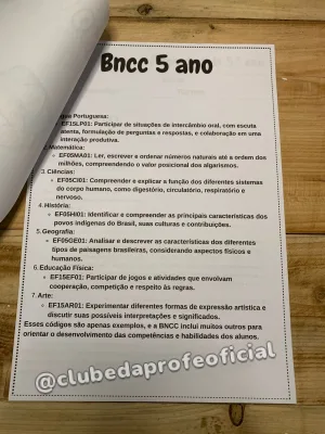 Planos de Aula para o 5º Ano do Ensino Fundamental - foto 2 de 5