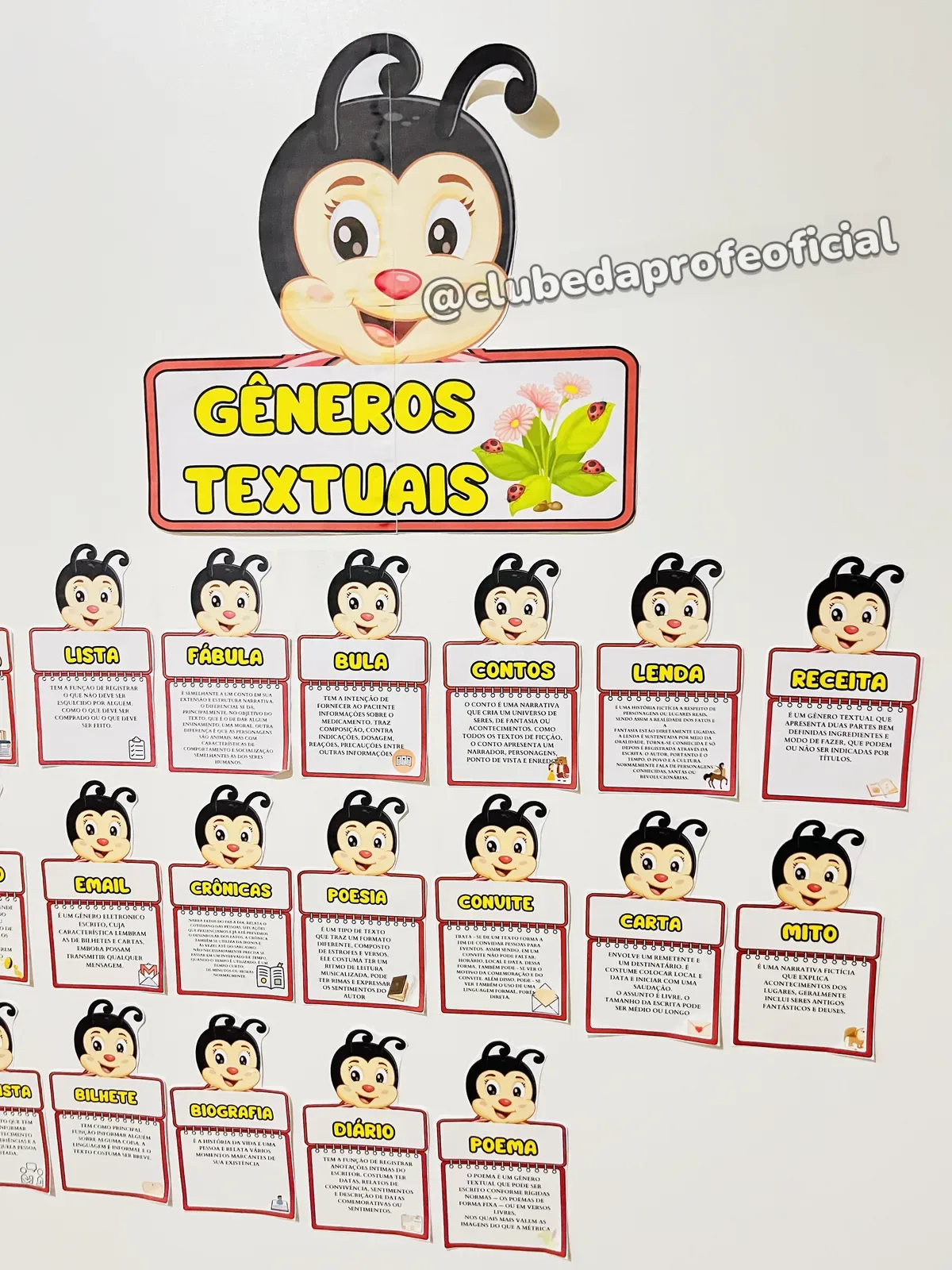 Painel Joaninha dos Gêneros Textuais - foto 1 de 5