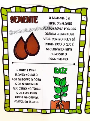 Painel As Partes da Árvore - foto 9 de 15