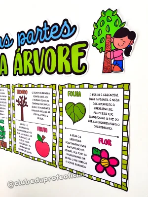 Painel As Partes da Árvore - foto 5 de 15