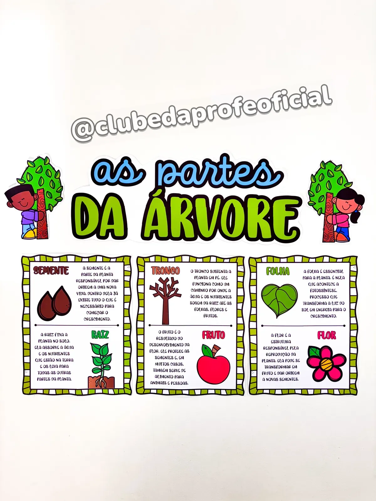 Painel As Partes da Árvore - foto 1 de 15