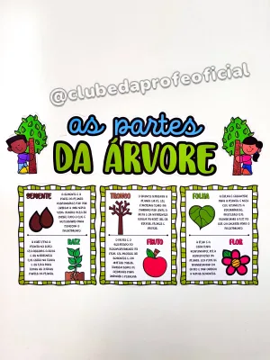 Painel As Partes da Árvore - foto 13 de 15