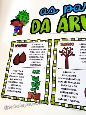 Painel As Partes da Árvore - foto 15 de 15