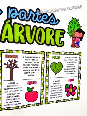 Painel As Partes da Árvore - foto 4 de 15