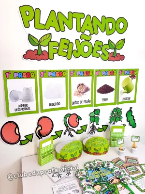 Plantando Feijões - foto 6 de 18