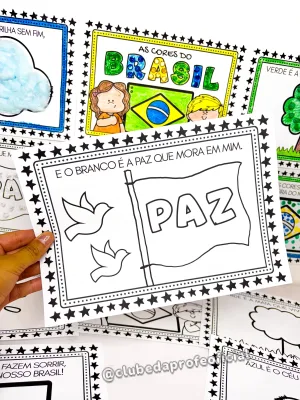 Livrinho As Cores do Brasil - foto 17 de 19