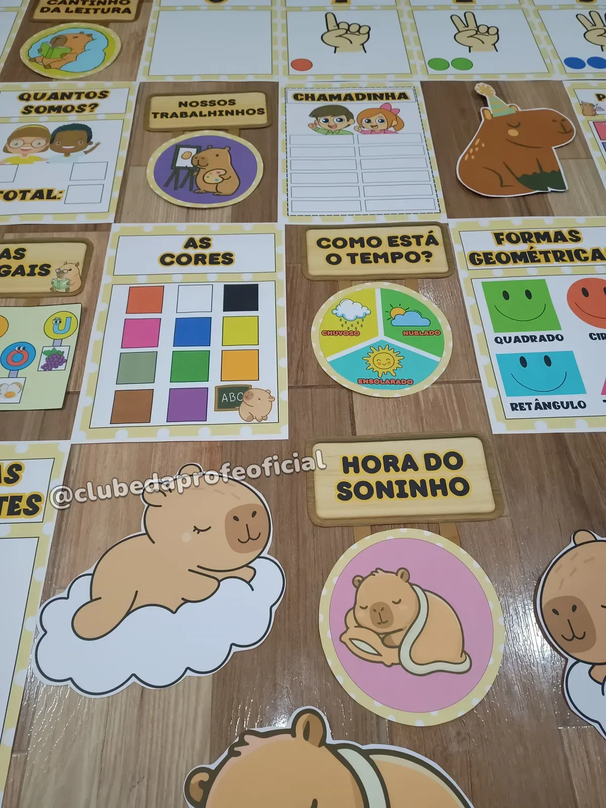 Kit Sala de Aula Capivara - foto 1 de 10
