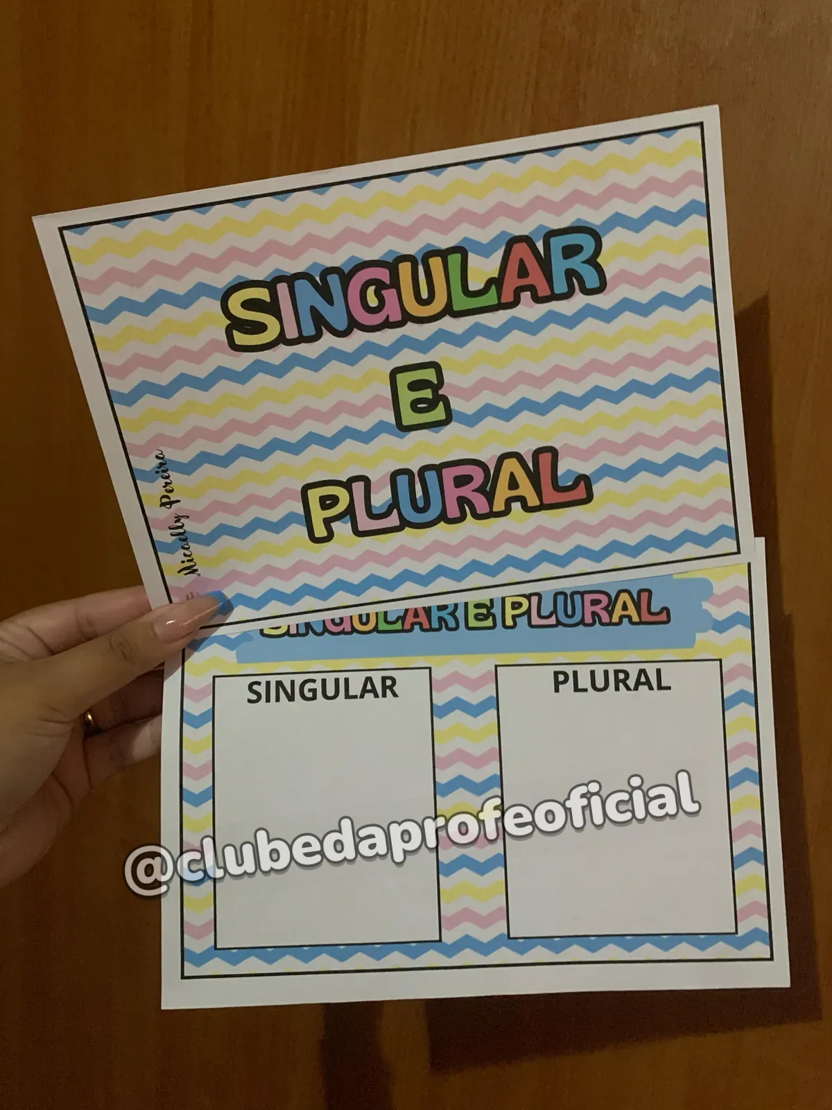 Singular e Plural - foto 1 de 6