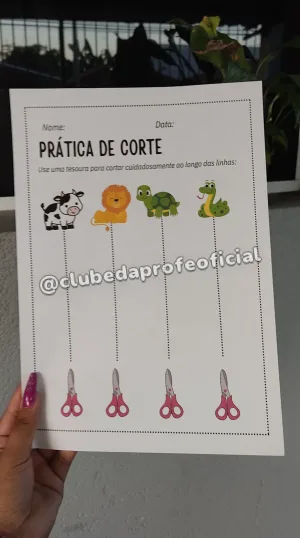 Sondagem Diagnóstica Inicial - foto 5 de 5