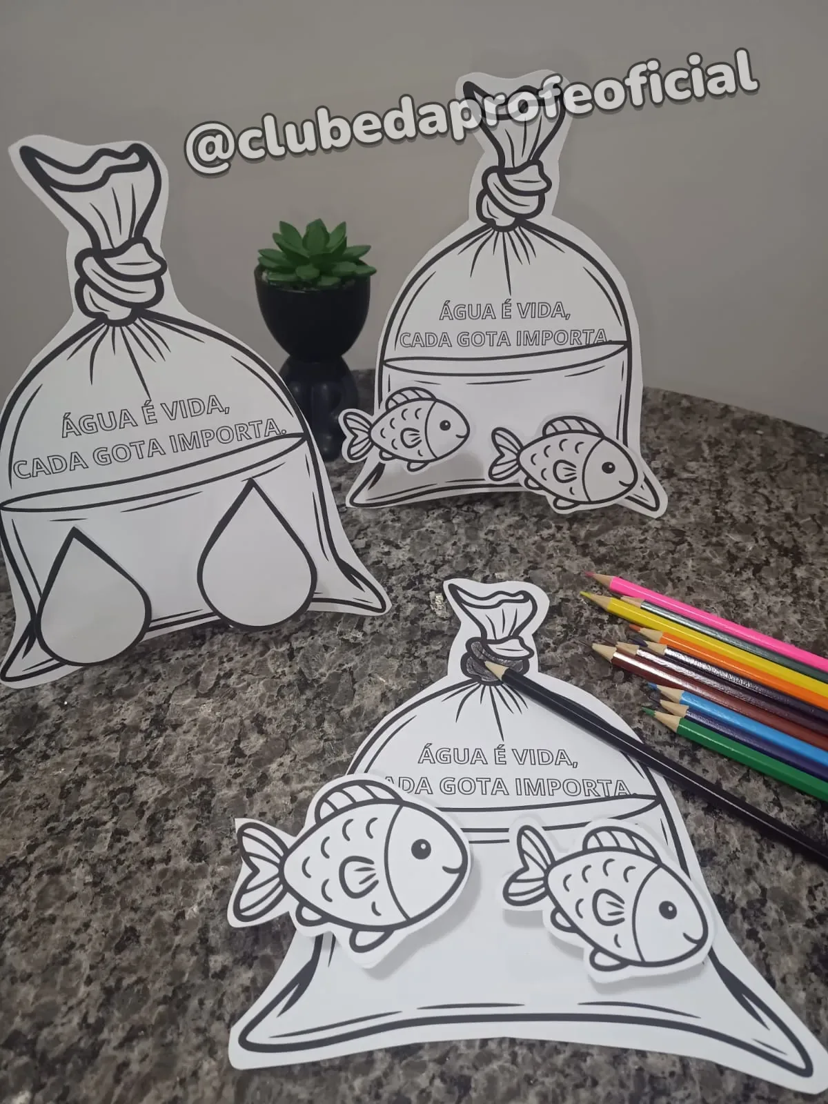 Água É Vida - foto 1 de 4