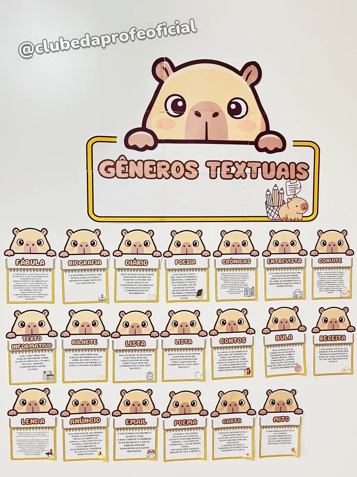 Painel de Gêneros Textuais Tema Capivaras - foto 1 de 9