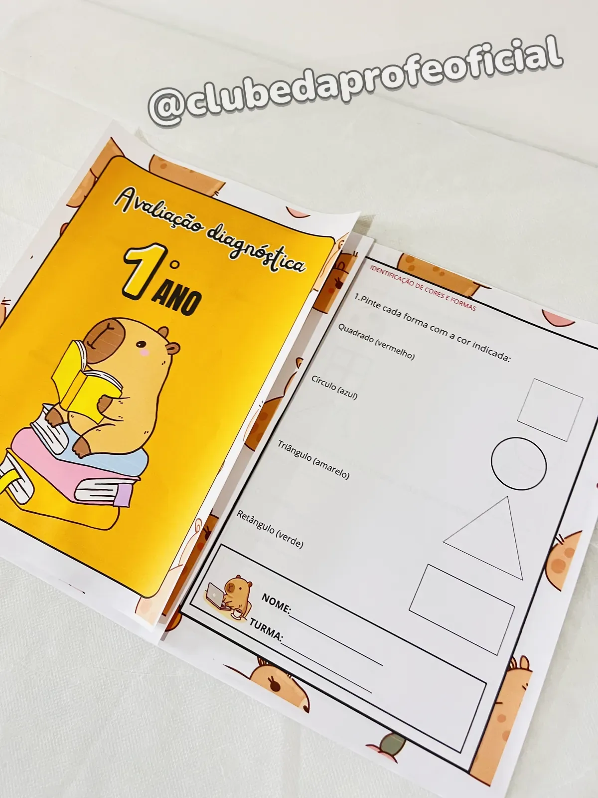 Avaliação Diagnóstica para 1º Ano - foto 1 de 3