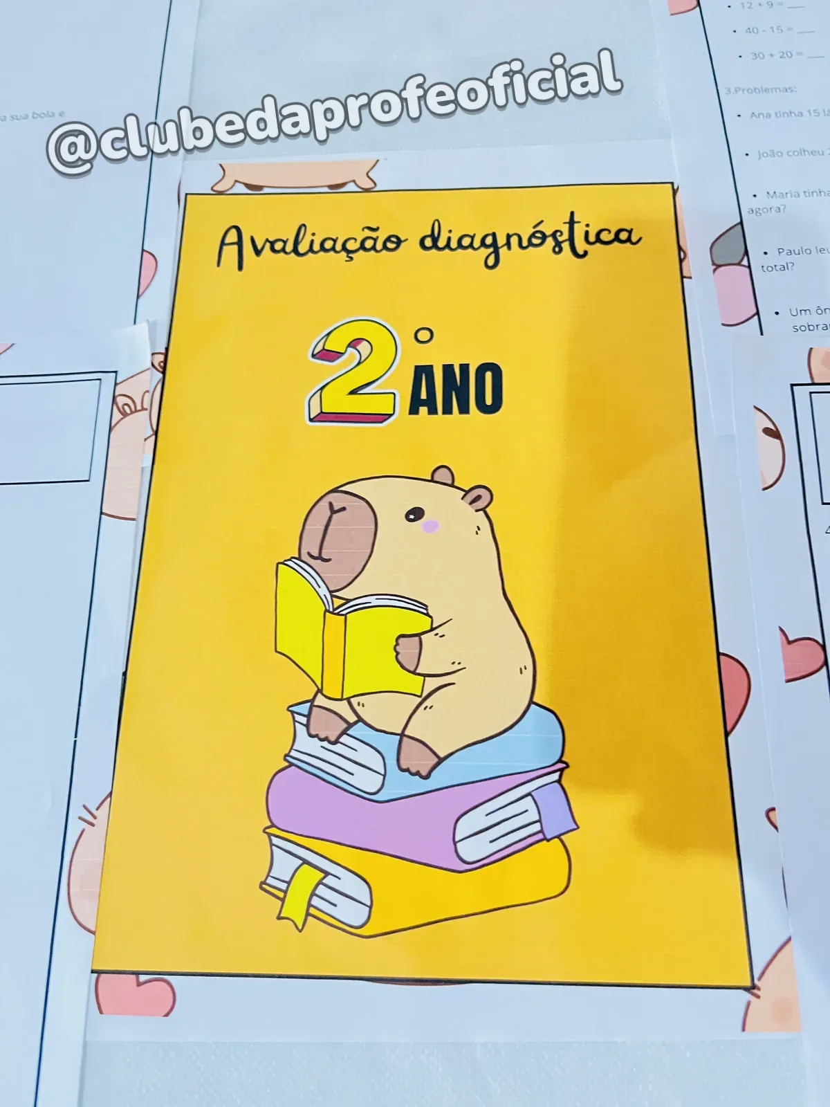 Avaliação Diagnóstica: 2º Ano - foto 1 de 6