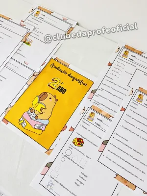 Avaliação Diagnóstica: 2º Ano - foto 4 de 6