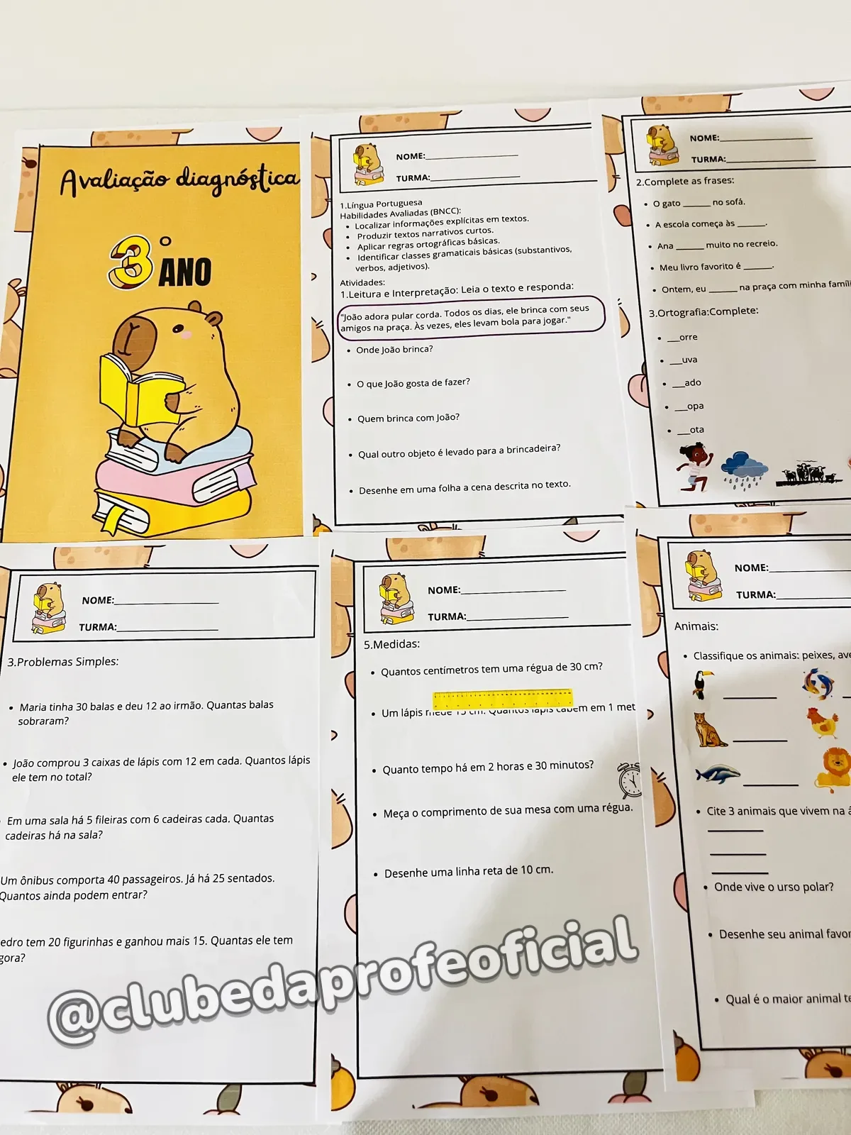 Avaliação Diagnóstica 3º Ano - foto 1 de 3