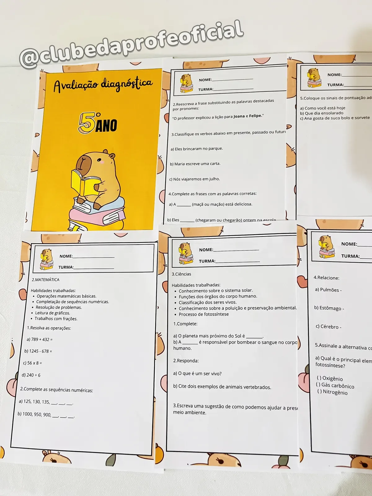 Avaliação Diagnóstica: 5º Ano - foto 1 de 4