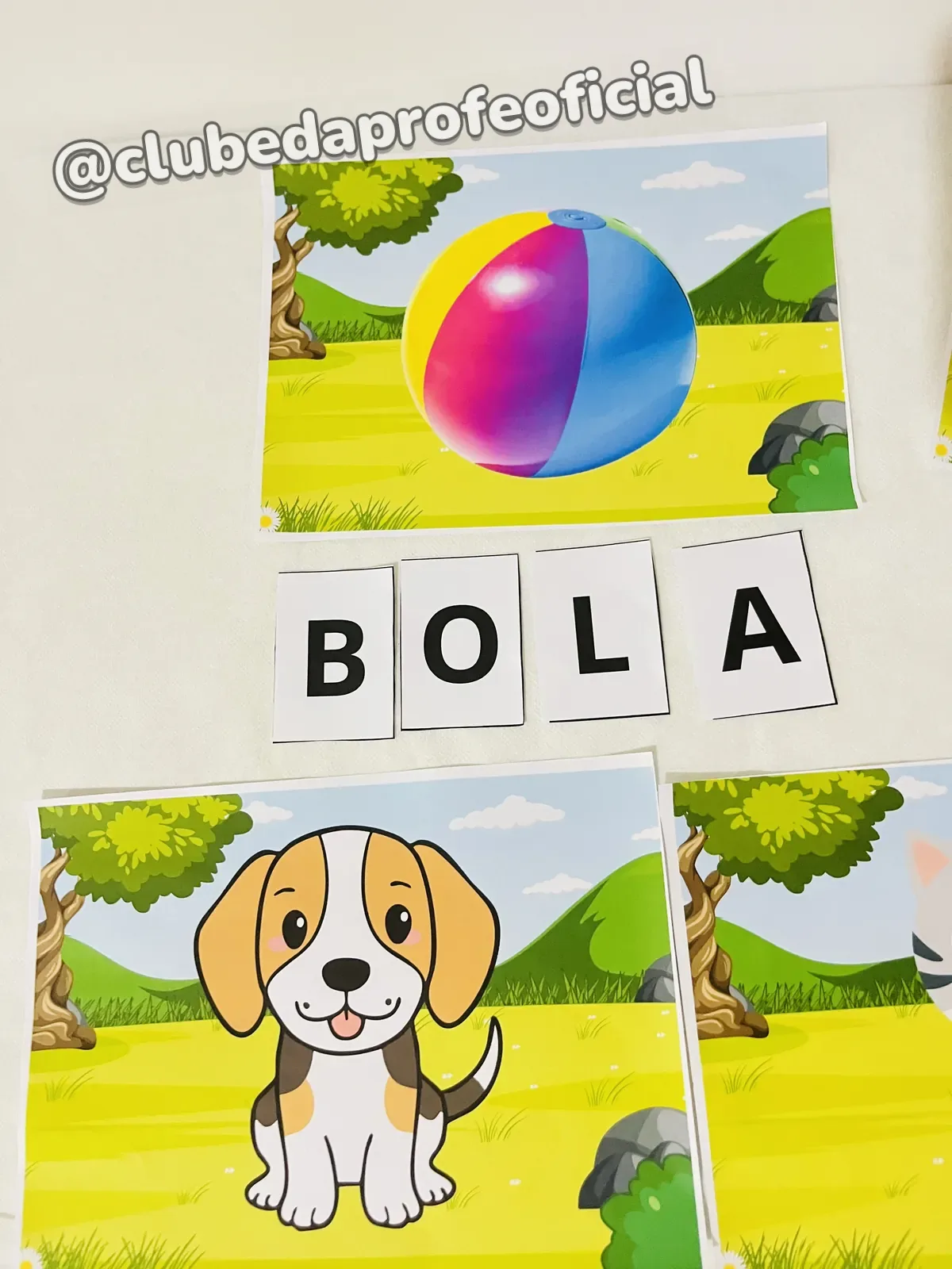 Atividade de Alfabetização: Escreva o Nome das Figuras - foto 1 de 6