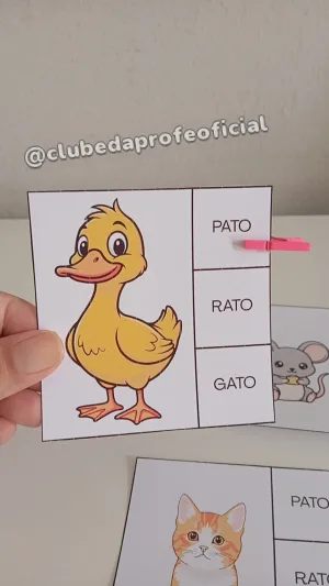 Figura Correspondente: Cards de Leitura - foto 2 de 17