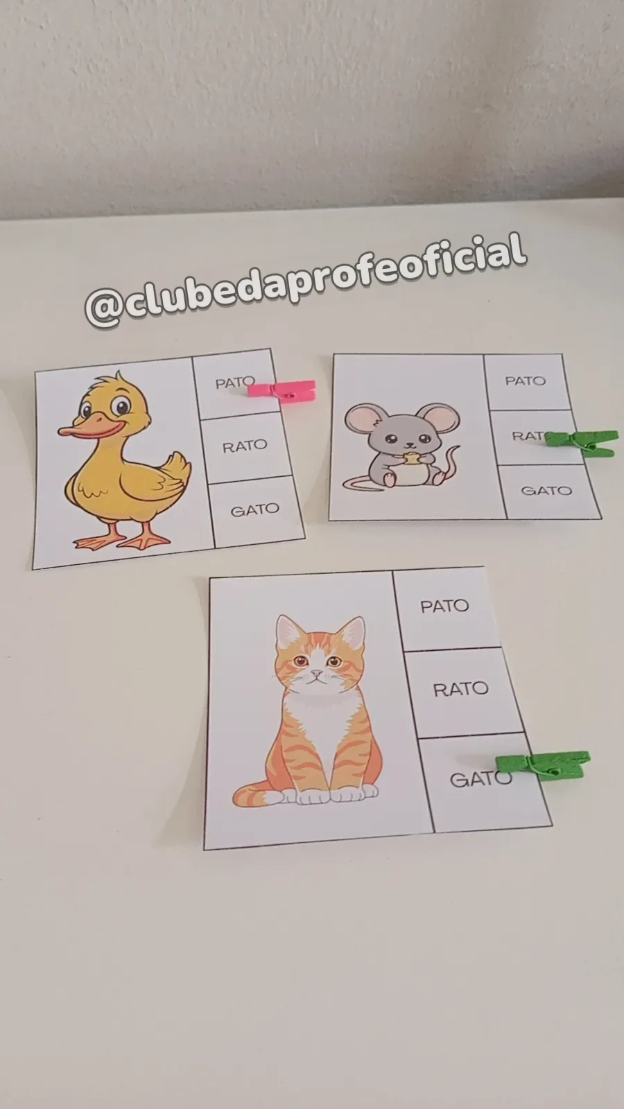 Figura Correspondente: Cards de Leitura - foto 1 de 17