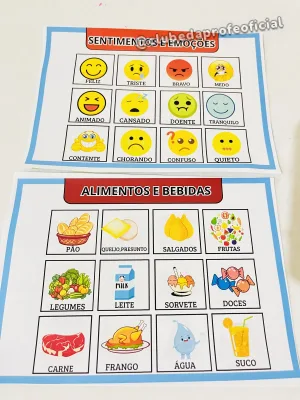Prancha de Comunicação Alternativa: Vocabulário Completo - foto 2 de 4