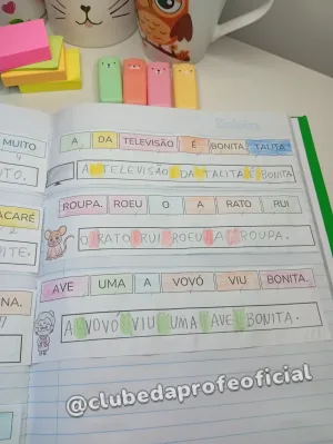 Organizando as Frases: 1º e 2º Ano - foto 4 de 7